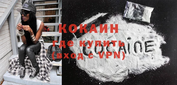 шишки Горнозаводск