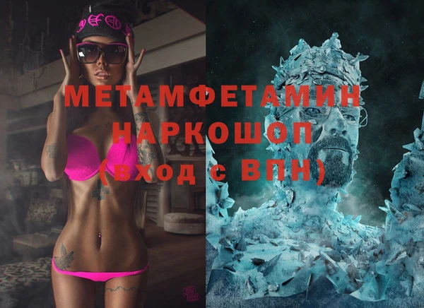индика Горняк