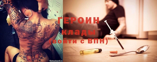 индика Горняк