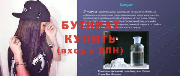 индика Горняк