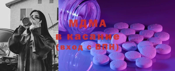 индика Горняк
