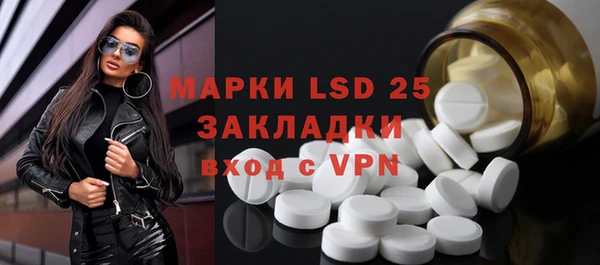 индика Горняк