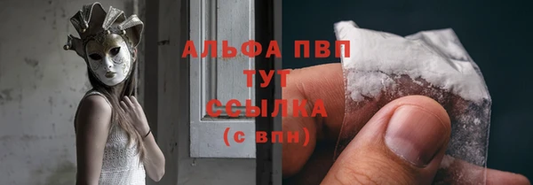 шишки Горнозаводск