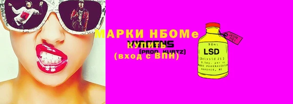 индика Горняк