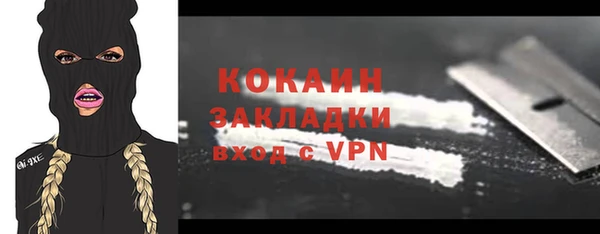 индика Горняк
