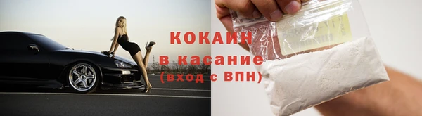 шишки Горнозаводск