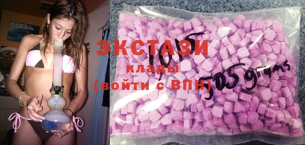 индика Горняк