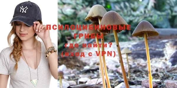 прущая мука Горно-Алтайск