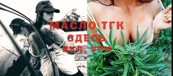 индика Горняк