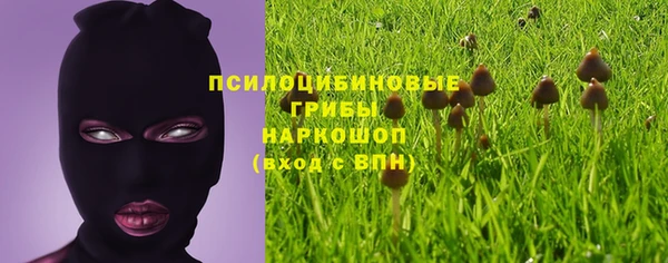 прущая мука Горно-Алтайск