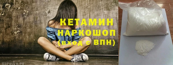 индика Горняк