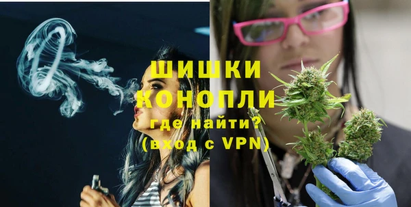 индика Горняк